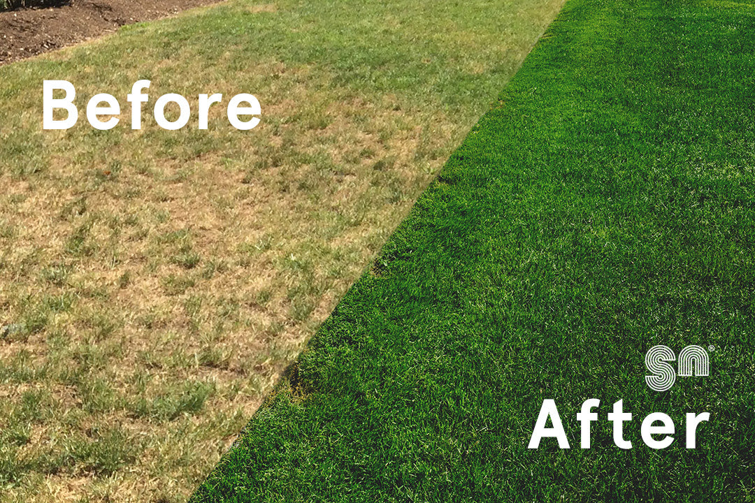 The Grass is Greener with PRO ORGANIC
