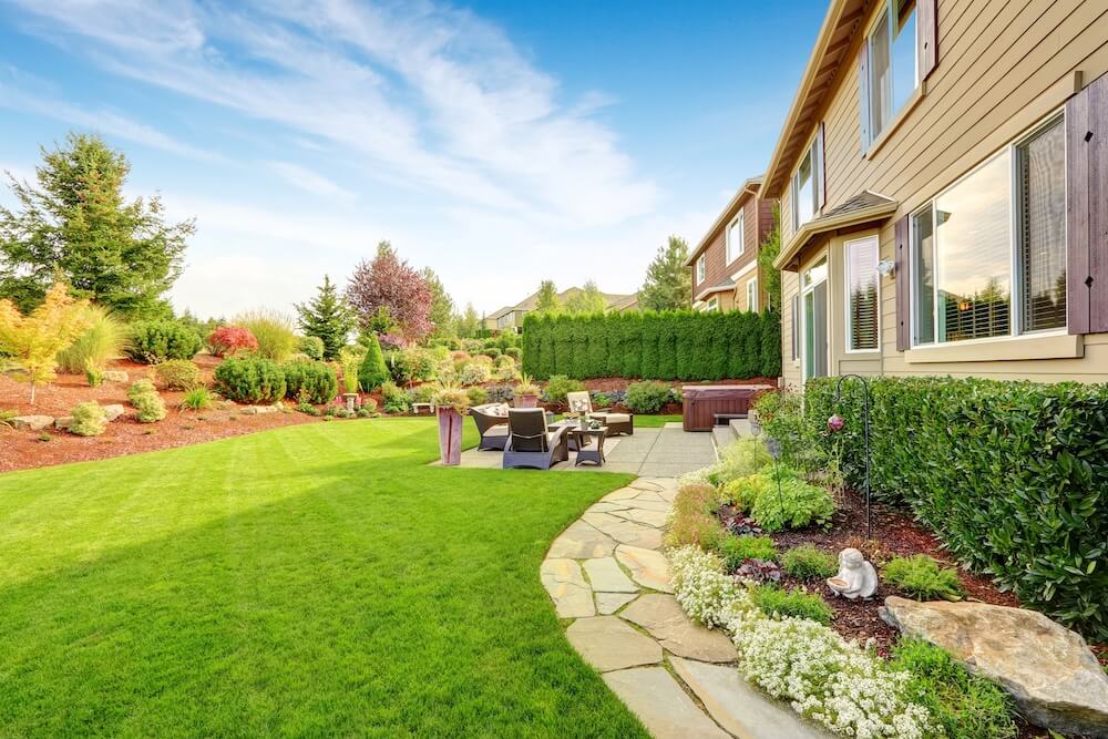 Image shows a healthy, lush, green backyard.