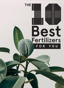 Image shows the top 10 fertilizers